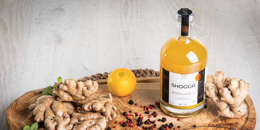SHOGGA - Shocktail du sud - Recette