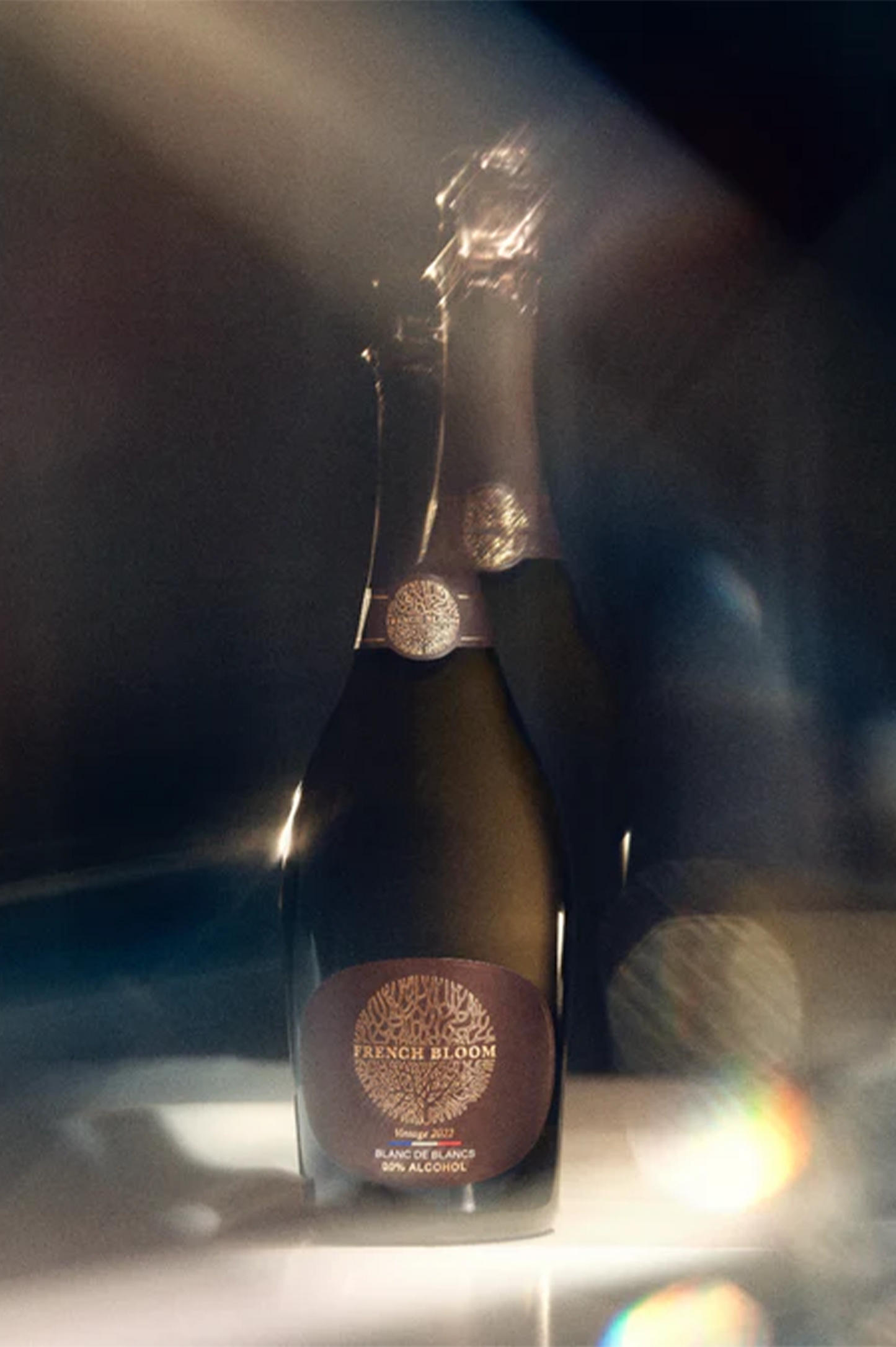 French Bloom - La Cuvée Vintage 2022 - 75CL