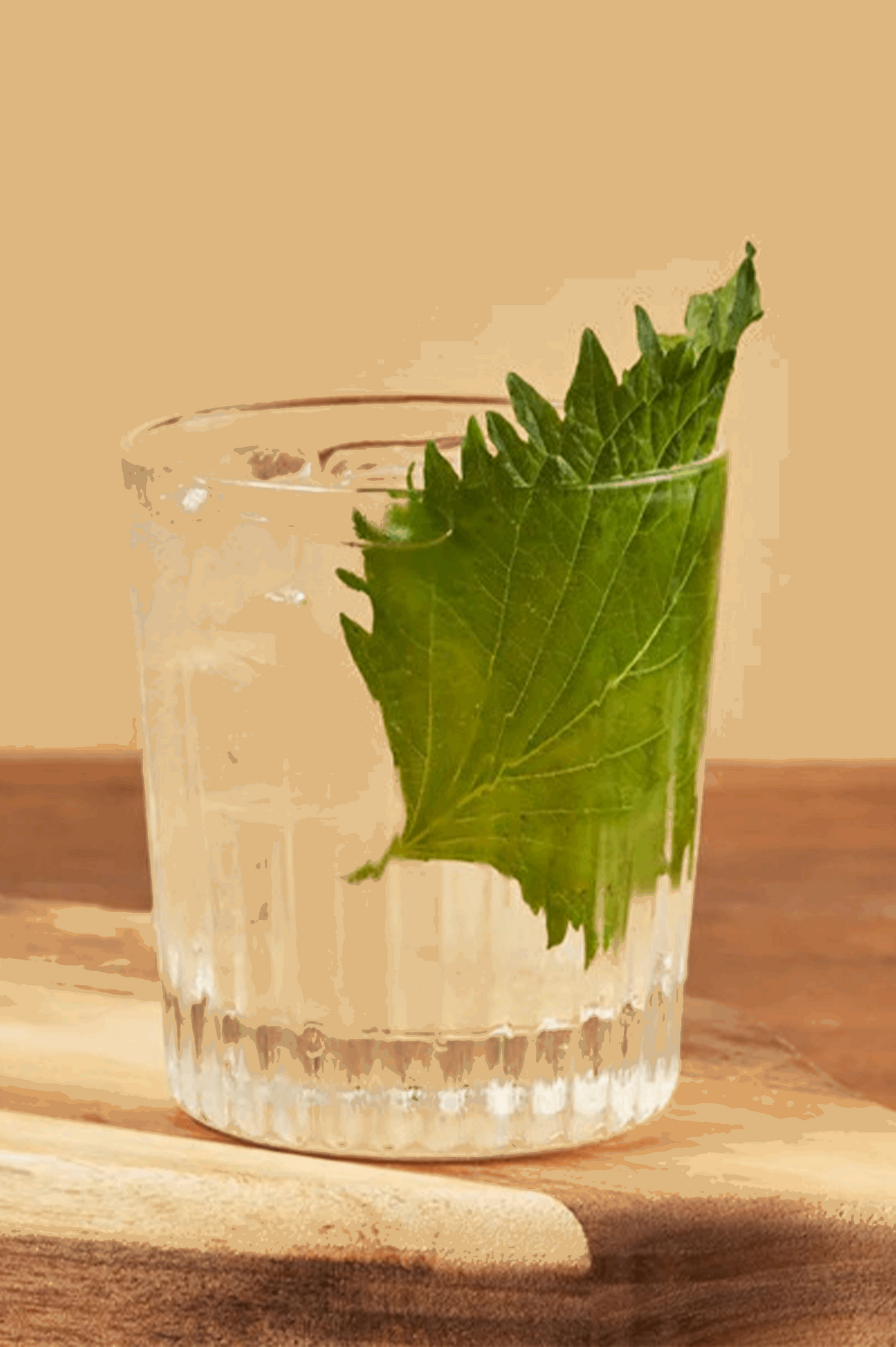 JNPR n°3 LE BOTANIQUE : VERVEINE & BAIES DE GENIÈVRE