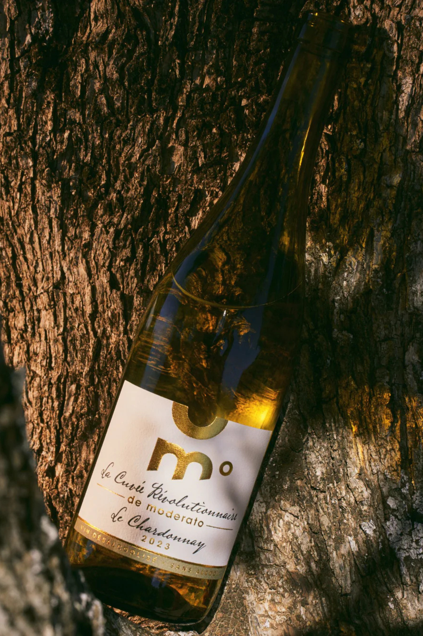 Moderato - La Cuvée Révolutionnaire Chardonnay  - 75CL