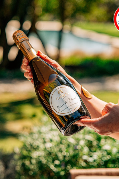 CHAVIN ZERO Blanc de Blancs Effervescent - Vin De France désalcoolisé - 75cl