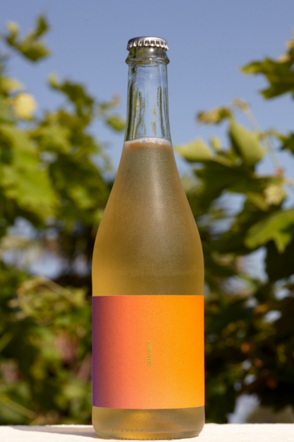 OMAFRIDA Cuvée N°003 – Pétillant Chardonnay et plantes sauvages
