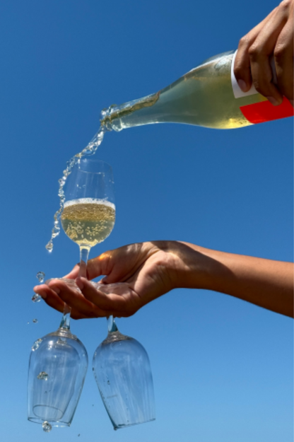 OMAFRIDA Cuvée N°003 – Pétillant Chardonnay et plantes sauvages